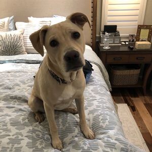 Meet your Posher, Matt